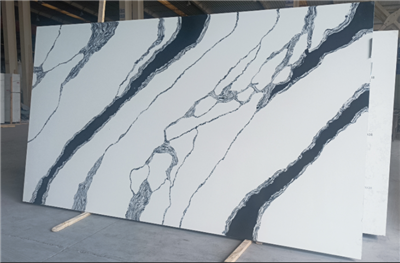 Calacatta Black & White Cat Quartz
